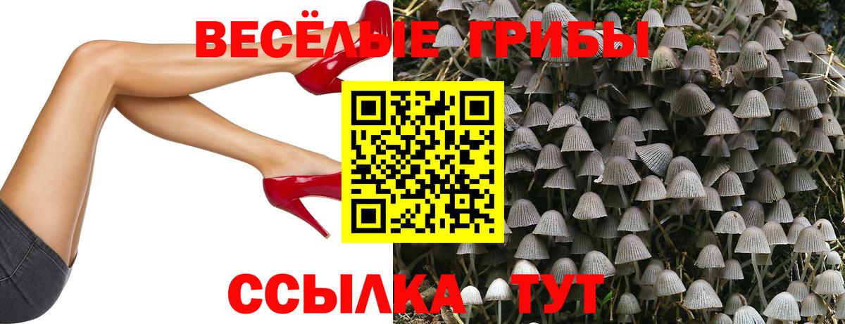 Alpha PVP Топки